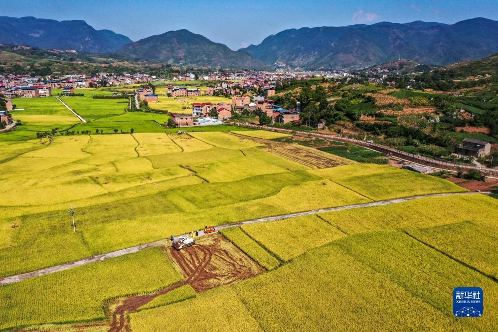 试玩app平台